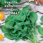 Салат