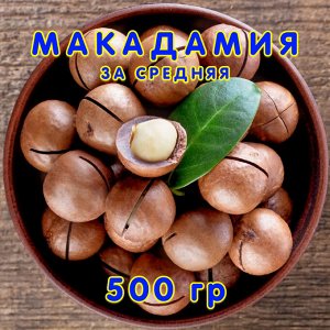 Макадамия орех в скорлупе 3А средняя  (500 гр.)