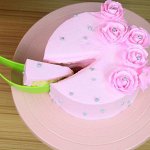 Нож - лопатка для торта Cake Server. Пищевой пластик. 9046085