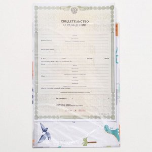 Папка для свидетельства о рождении, А5 «Динозаврики»
