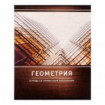 Тетрадь предметная &quot;Металл&quot;, 48 листов в клетку &quot;Геометрия&quot; со справочным материалом, обложка мелованный картон, блок №2, белизна 75% (серые листы)