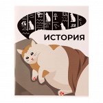 Тетрадь предметная &quot;Животные мемы&quot; 36 листов в клетку &quot;История&quot;,со справочным материалом, обложка мелованная бумага, блок №2 (серые листы)