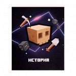 Тетрадь предметная Calligrata &quot;Пиксели&quot;, 36 листов в клектку История, со справочным материалом, обложка мелованный картон, блок офсет