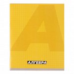 Тетрадь предметная &quot;MonoTone&quot; 36 листов в клетку &quot;Алгебра&quot;,со справочным материалом, обложка мелованая бумага, блок № 2, белизна 75% (серые листы)