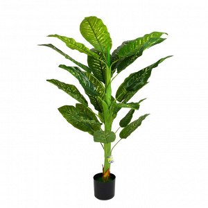 INBLOOM Растение искусственное Диффенбахия, 150см, PEVA, цемент