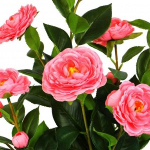 INBLOOM Растение искусственное Роза китайская розовая 70см
