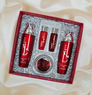 Набор средств для ПИТАНИЯ и ухода с красным женьшенем PREMIUM RED GINSENG 3 SET