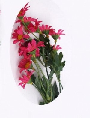 Хризантема мелкая букет 60 см цвет фуксия HS-19-9