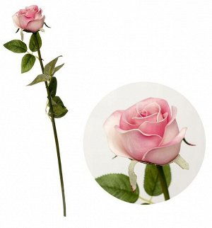 Роза 63 см цвет розовый