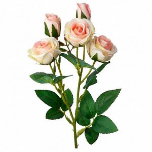 Роза букет 42 см цвет кремово-розовый