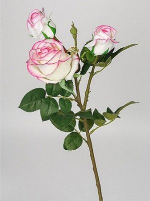 Роза Диана на ветке 78 см1 шт 6 бутонов цв белый с розовым
