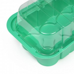 Мини-парник для рассады, 35x13x11 см, 24 ячейки под таблетки для рассады d=4 см, пластик, Greengo
