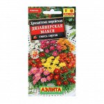 Семена Цветов Хризантема &quot;Дизайнерская&quot;, макси, смесь сортов, 0,02 г