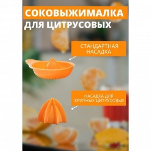 Соковыжималка для цитрусовых «Мадена», 300 мл, цвет МИКС