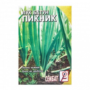 Сембат Семена Лук батун &quot;Пикник&quot;, 1 г