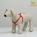Шлейка &quot;Звезды&quot;,  27-42 х 1 см, красная