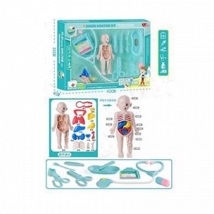 030-2 набор игровой доктора (анатомия), в кор. 40003