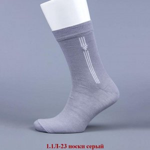 1.1Л-23-10 носки серые