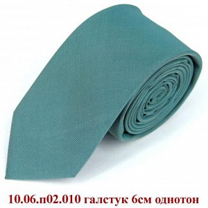 10.06.п02.010 галстук 6см однотон