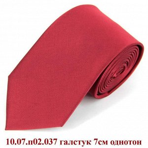 10.07.п02.037 галстук 7см однотон