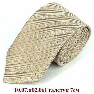 10.07.п02.061 галстук 7см