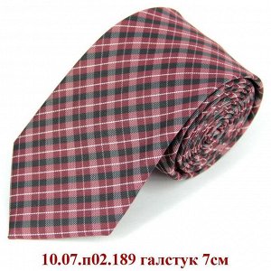 10.07.п02.189 галстук 7см