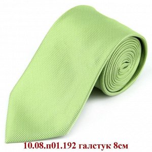 10.08.п01.192 галстук 8см