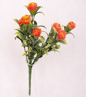 Куст зелени с оранжевыми цветами 30 см