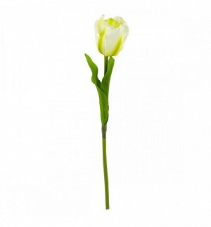 Тюльпан 41 см цвет белый