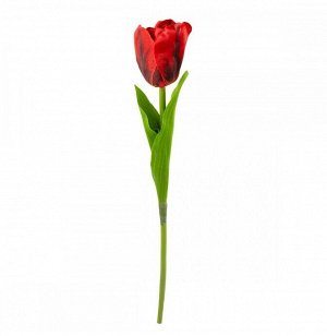 Тюльпан 41 см цвет красный