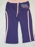 Спортивные брюки фиолетовые