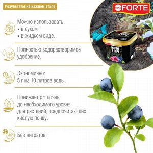 Bona Forte Удобрение Для голубики, рододендрона и кислотолюбивых растений с серой и магнием, 1л ведро