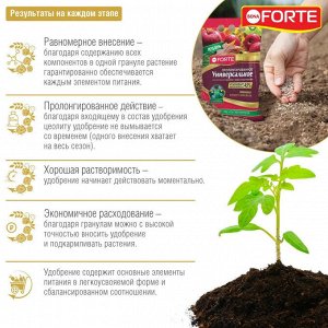 Bona Forte Удобрение Универсальное ЛЕТО-ОСЕНЬ 2,5 кг. с биодоступным кремнием /
