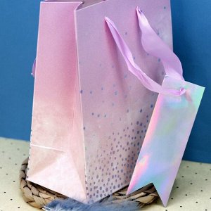 Пакет подарочный (S) «Sequins», pink (18*23*10)