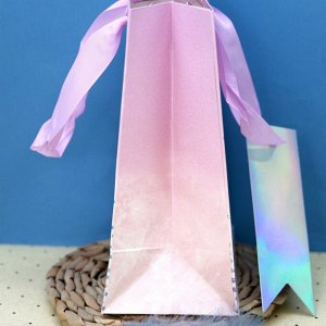 Пакет подарочный (S) «Sequins», pink (18*23*10)