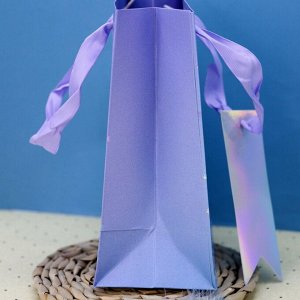 Пакет подарочный (S) «Sequins», purple (18*23*10)