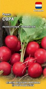 Семена Редис Сора 0,5 г.( Голландия)