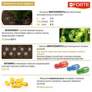 Удобрение минеральное BONA Forte Красота для декоративно-цветущих растений 285мл