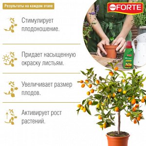 Удобрение минеральное BONA Forte Красота для цитрусовых растений 285мл