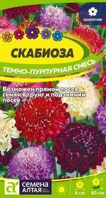 Цветы Скабиоза Темно-Пурпурная смесь/Сем Алт/цп 0,2 гр.