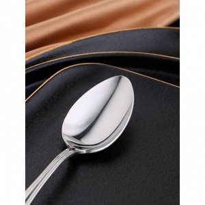 Ложка десертная «Миддлтон», h=17,2 см, толщина 2,5 мм, цвет серебряный