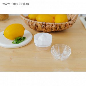 Доляна Соковыжималка для цитрусовых с лотком и крышкой, d=7,5 см