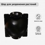 Шар для укоренения растений, d = 6,6 см, под ветку 1,6 см, чёрный