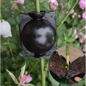 СИМА-ЛЕНД Шар для укоренения растений, d = 4,5 см, под ветку 1 см, чёрный