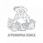 Брюква столовая Красносельская (ЧБ) 0,5г
