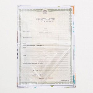 Папка для свидетельства о рождении, А5 «Динозаврики»