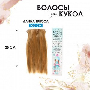 Волосы-тресс для кукол «Прямые» длина волос: 25 см, ширина: 100 см, цвет № 27