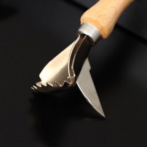 Рыбочистка с ножом для вспарывания «Традиционная», 16?5 см, с деревянной ручкой