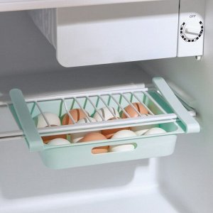 Полка для яиц в холодильник, подвесная, 12 ячеек, 26?17?5 см, цвет МИКС