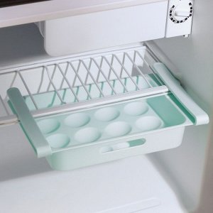 Полка для яиц в холодильник, подвесная, 12 ячеек, 26?17?5 см, цвет МИКС